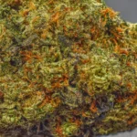Cherry Gas Mask (AAAA+) - Image 2