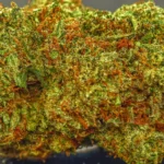Kool Whip (Indica) (AAAA) - Image 2