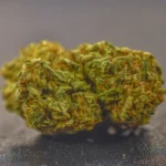 White Rhino (Indica) (AAA)