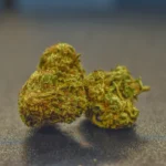 White Widow (Hybrid) (AAA)