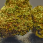 White Widow (Hybrid) (AAA) - Image 2